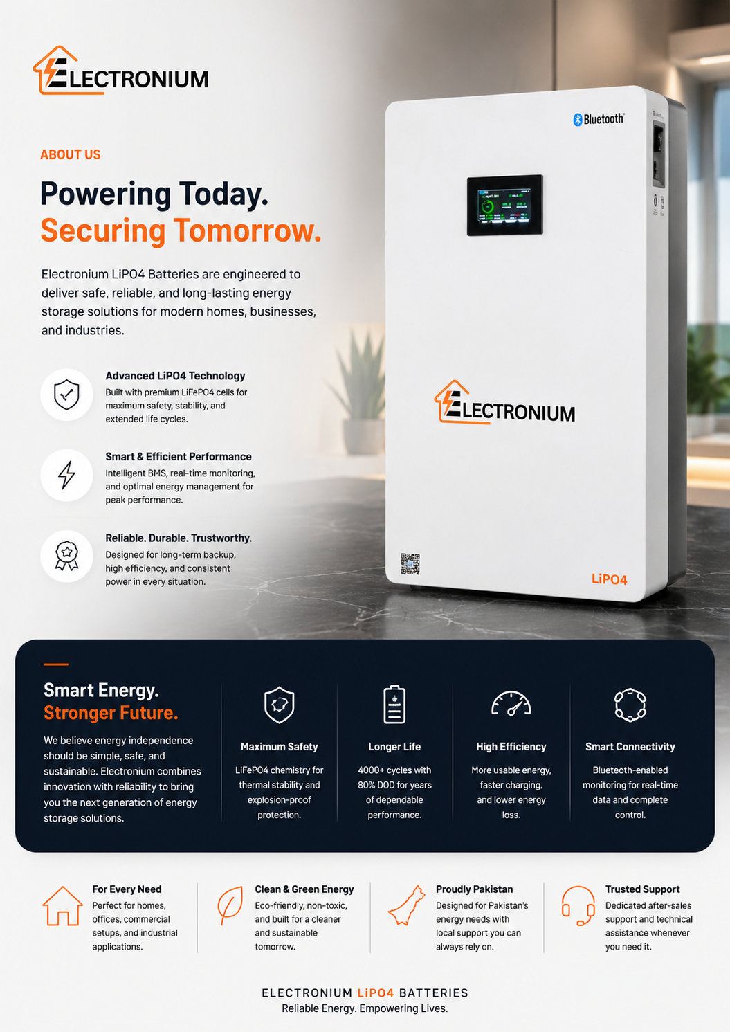 electronium lipo4 battery about